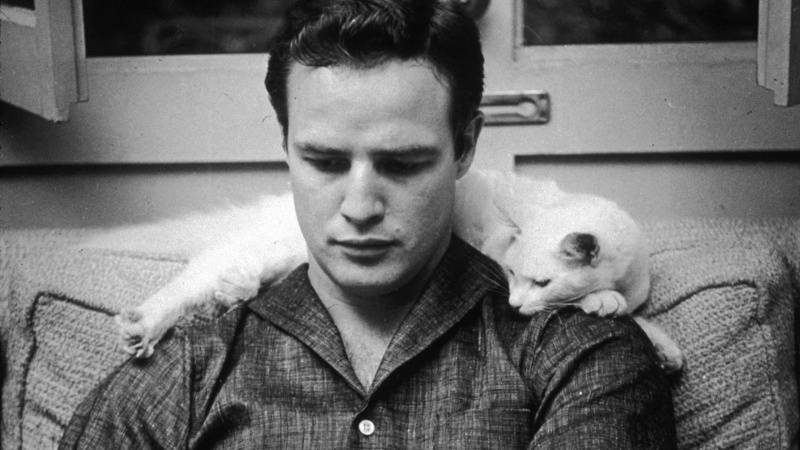 Marlon Brando-15 Celebrities You Probably Didn't Know Were Bisexual