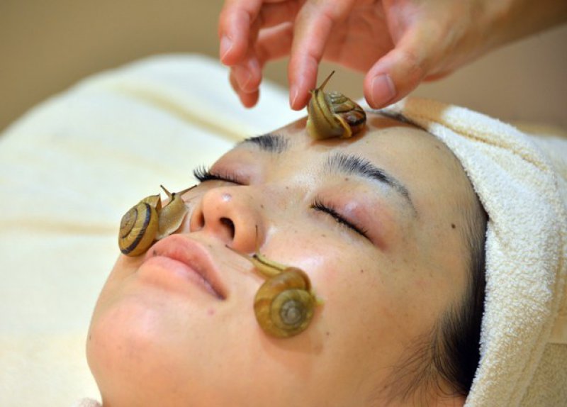 Snail Spas-15 Weird Things That Can Happen Only In Japan