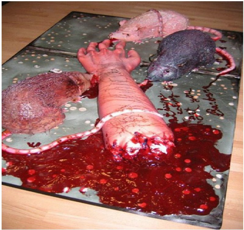Arm and rats-15 Most Disgusting Yet Hilarious Cake Fails Ever