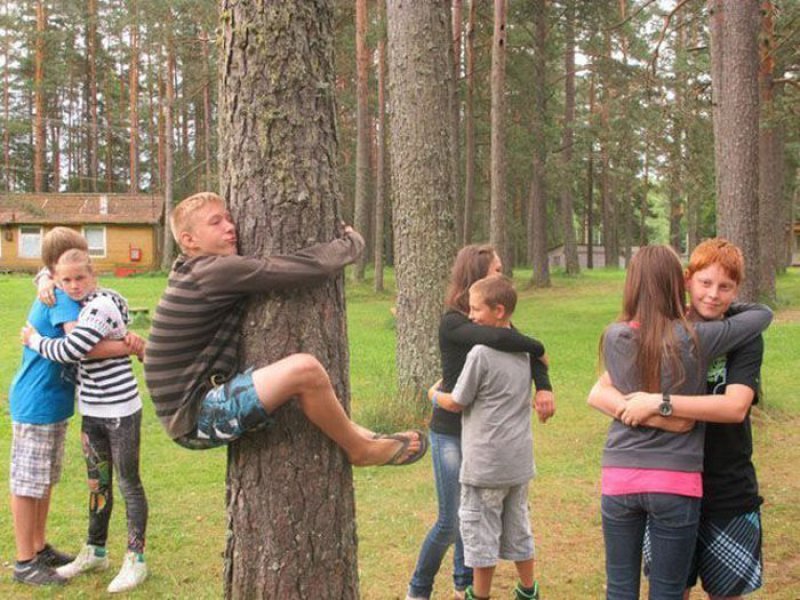All He Got is a Trunk of a Tree-15 Images That Prove Life's Not Fair With Everyone