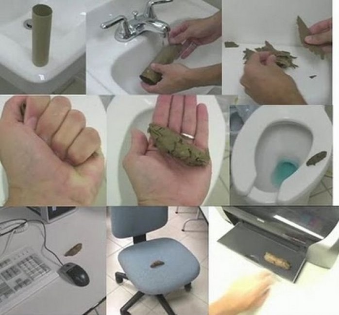This Shitty Prank-15 Pranks So Evil That They Are Actually Genius