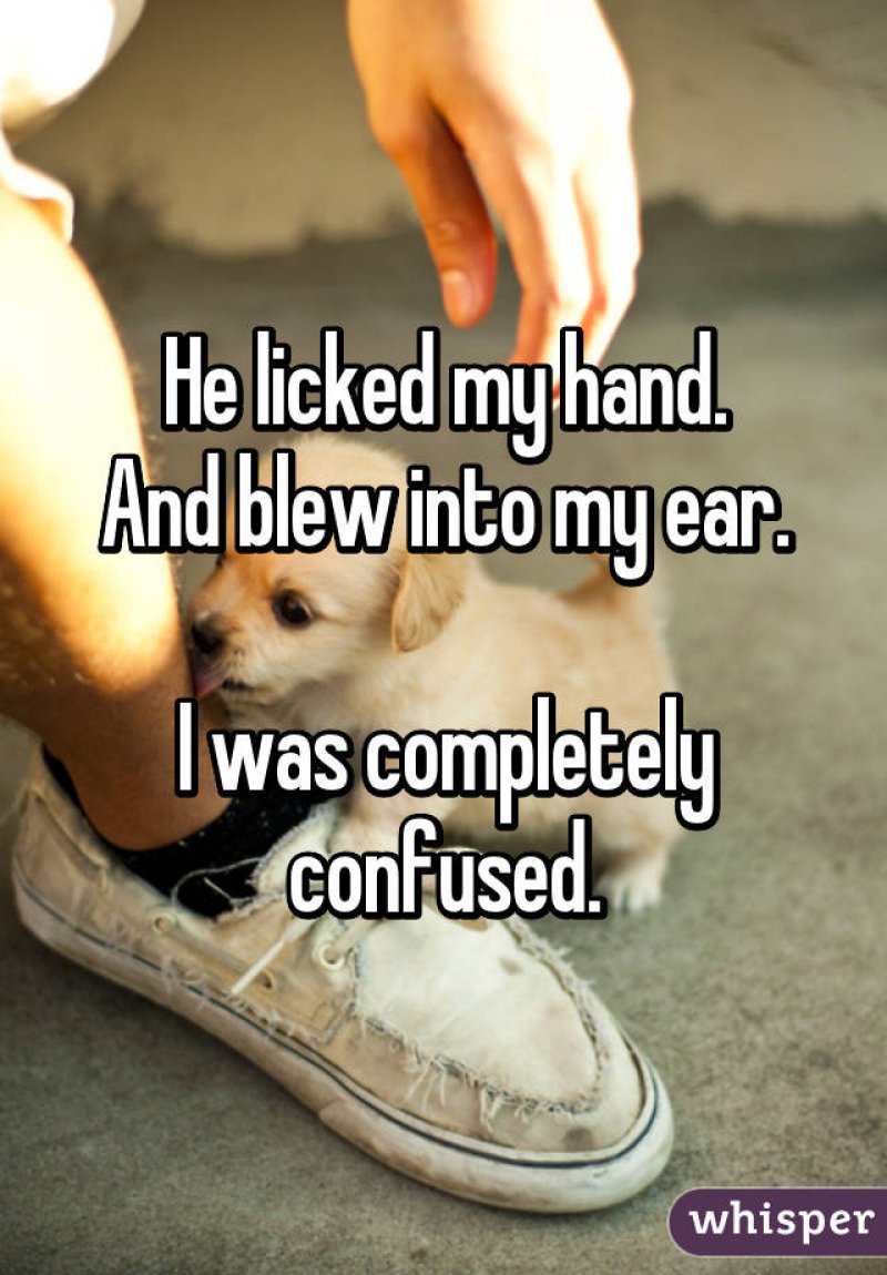 This Not So Strange Move-15 People Confess Their Most Awkward Foreplay Moments