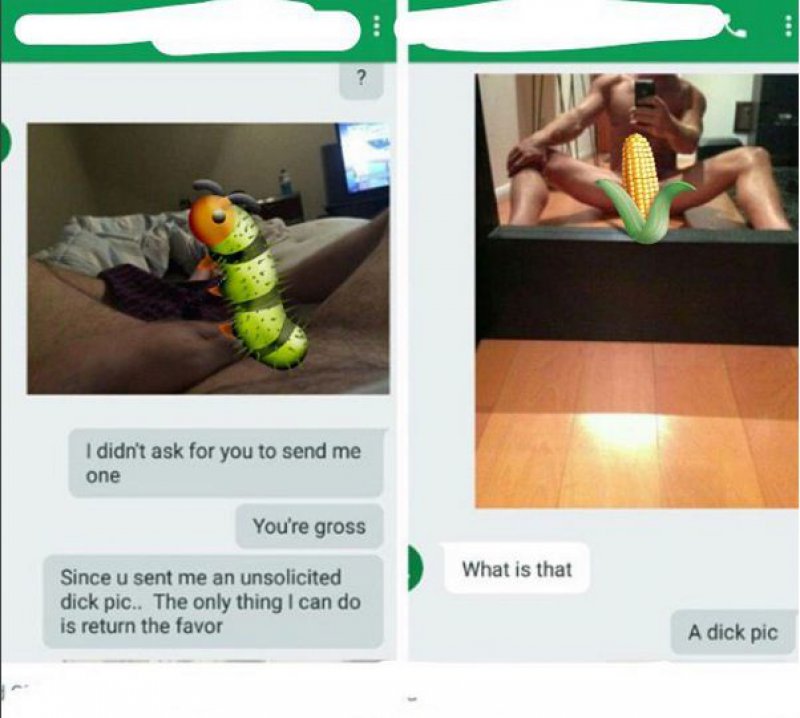 Returning the Favor the Right Way-15 Hilarious Comebacks To Unwanted Dick Pics