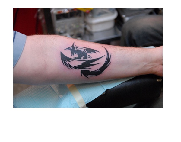 Detail oriented-Amazing Looking Phoenix Tattoos