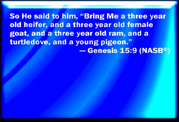 Genesis 15:9-Crazy Biblical Quotes