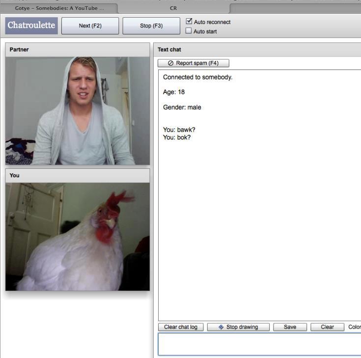 Chat roulette cr