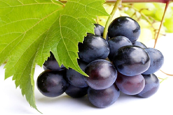 Grapes-Foods That Help Building Blood