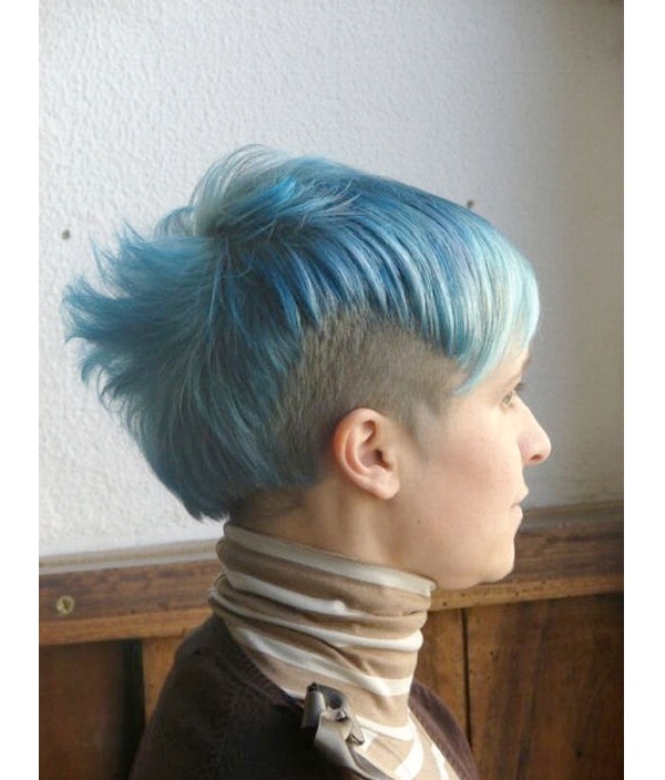 Blue Bird-Weird Haircuts