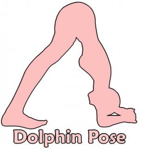 Dolphin pose-Simple Yoga Positions To Relieve Stress