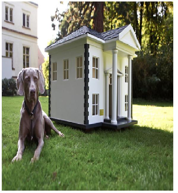 White (dog) house-Amazing Dog Houses