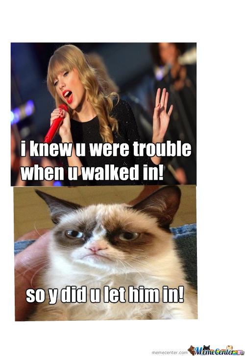 What a fantastic point-Best Taylor Swift Memes