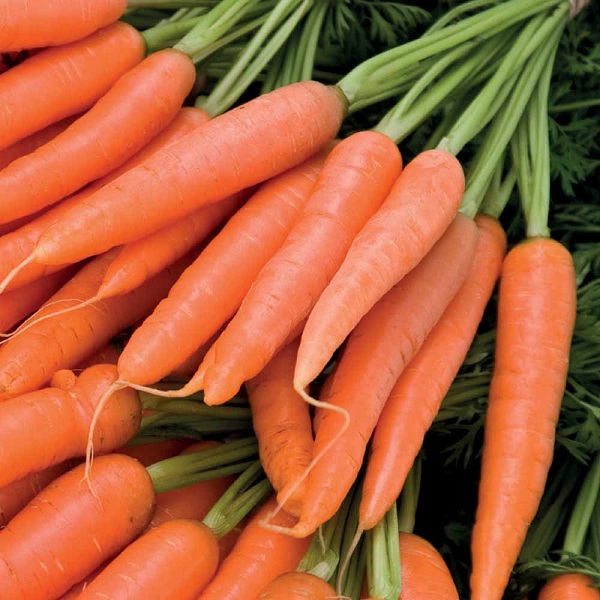 Carrot-Veggies That Won't Make You Fat