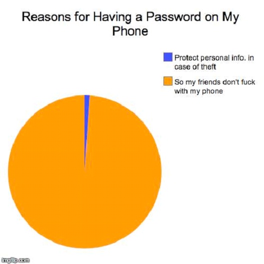 Reasons For Having A Password On My Phone-Hilarious Relatable Graphs