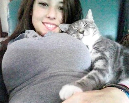 Gray Is Our Color-Pics Of Pets Being Cozy With Female Breasts