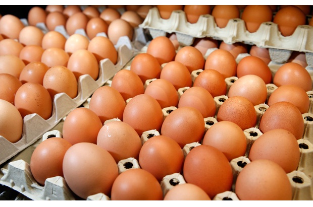 Eggs-Most Dangerous Foods