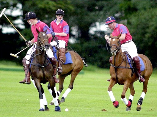 Polo-Most Expensive Sports In The World