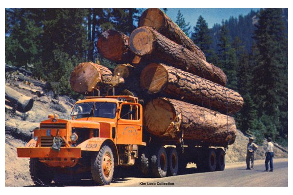 Logging-Most Dangerous Occupations.