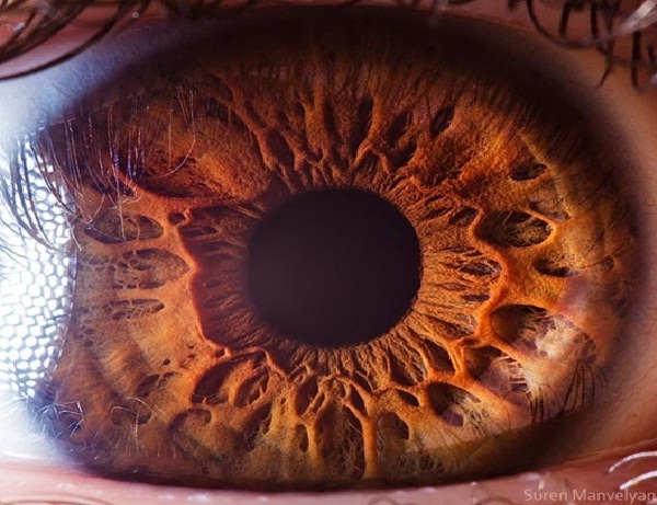 Seeing Deeper-Extreme Close Ups Of The Human Eye