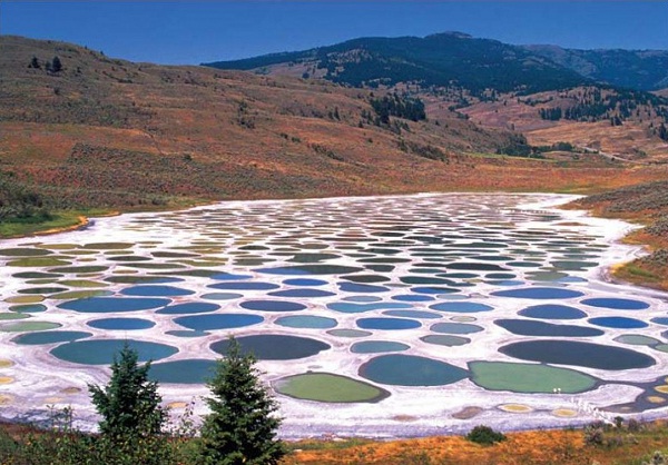Spotted Lake, Canada-Most Amazing Lakes On Earth