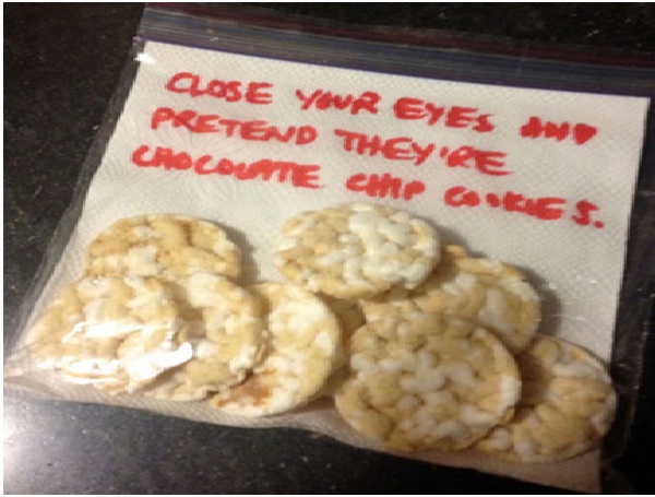 Chocolate Chip Cookies Substitute-Absolutely Hilarious Parental Notes