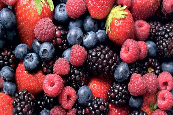 Berries-Best Cancer Preventing Foods