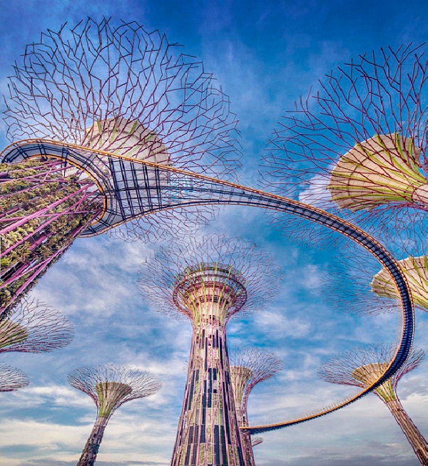 Skywalk At Super Tree Grove - Gardens By The Bay, Singapore-Best Skywalks In The World