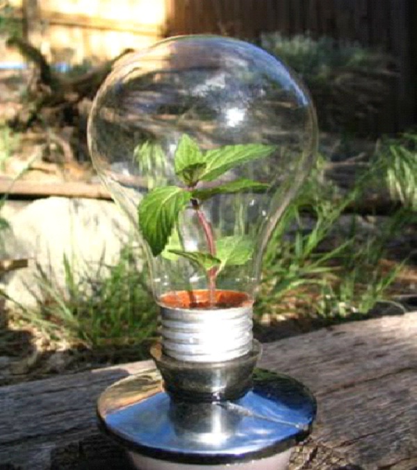 Bulb Greenhouse-Weird Light Bulbs