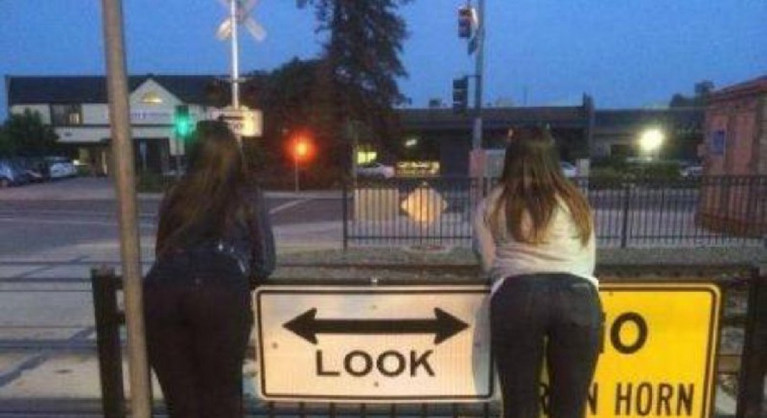 12 Funny Looks Good To Me Memes You'll Ever See