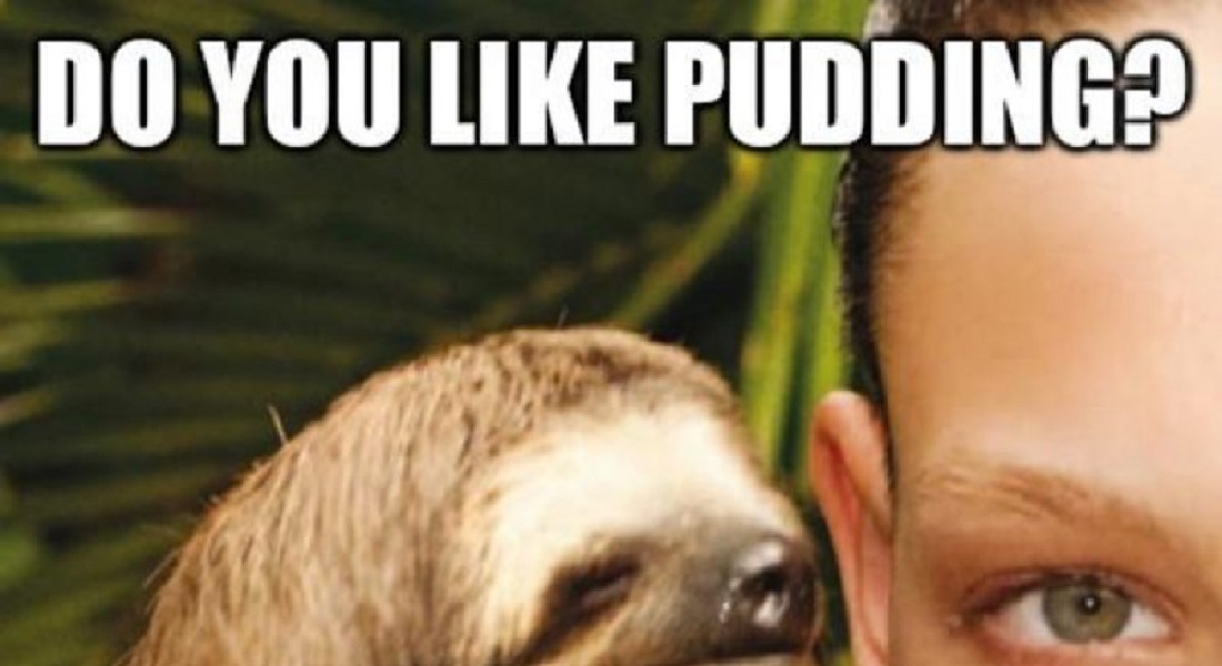 12 Funny Rape Sloth Memes That Will Make You Lol