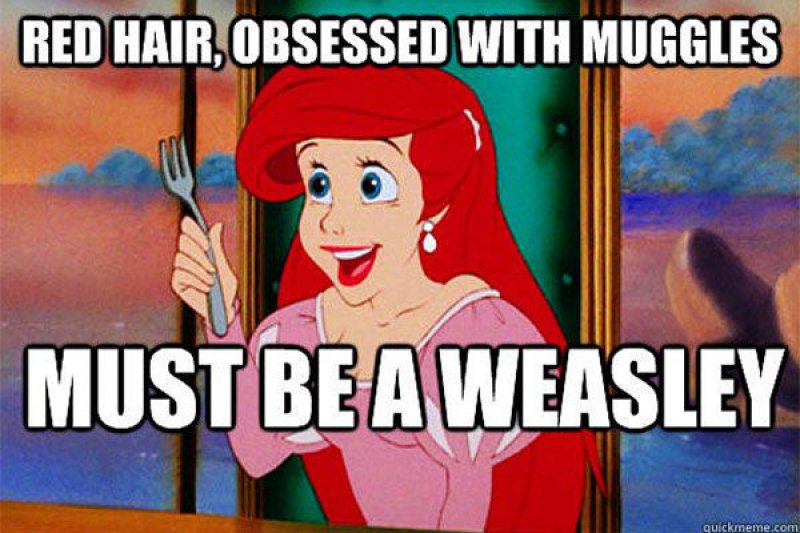 Ariel Weasley?-15 Hilarious Disney Memes That Will Make You Lol