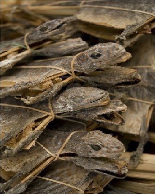 Dried reptiles-Craziest Things To Buy In China