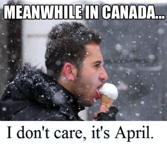 Yes It's Ice Cream-12 Best Meanwhile In Canada Memes Ever