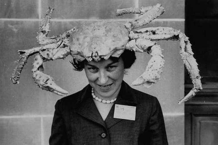 There's a crab on your head-This Week's WTF Photos