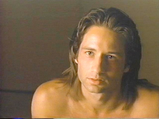 David Duchovny-12 Celebrities Who Were Once A Porn Star