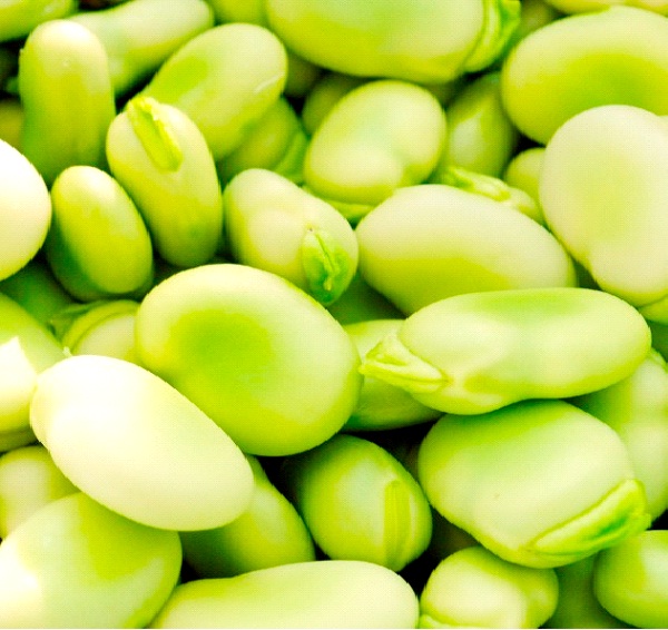 Beans-Foods That Increase Sperm Count
