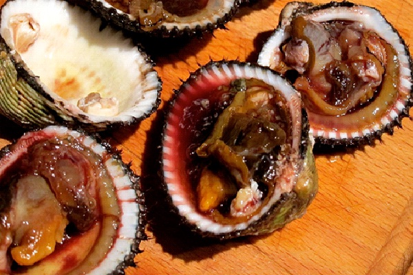 Blood Clams-Most Gross Foods In The World