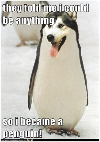 Wolf Penguin-Best 'They Said I Could Be Anything.' Memes