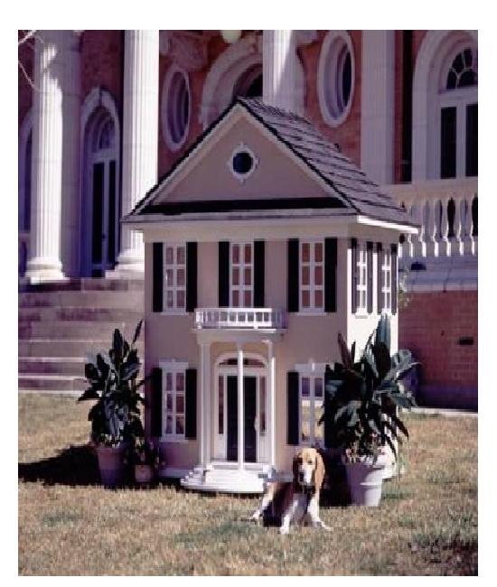 Southern plantation dog house-Amazing Dog Houses