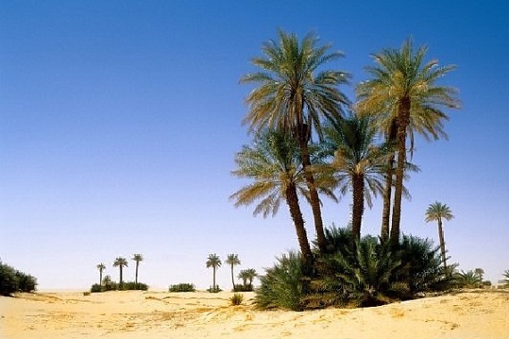 Niger-Beautiful Oases Around The World