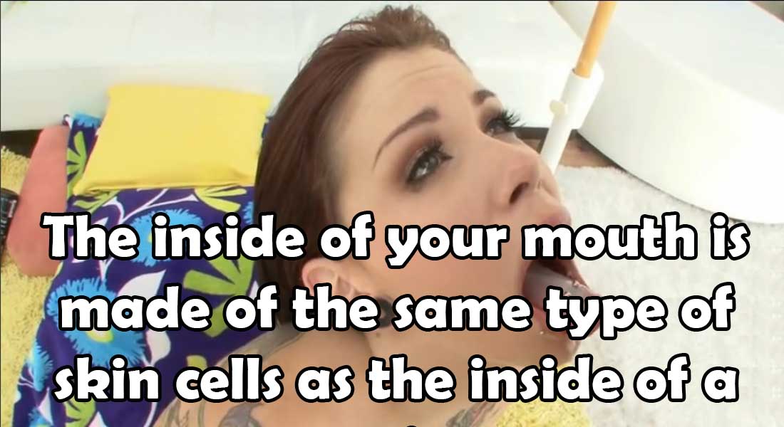 15 Amusing Facts That Are Actually True