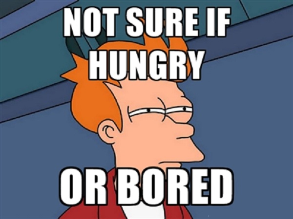 Hungry?-15 Funniest "Not Sure If" Futurama Fry Memes