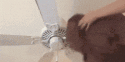 Use an Old Pillow Cover to Clean Fan Blades-15 Home Cleaning Hacks That Make Cleaning Easy