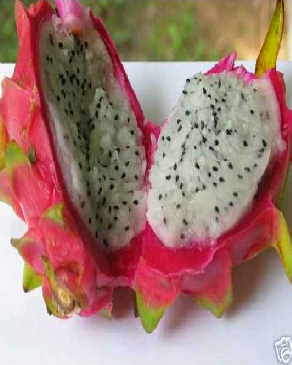Pitaya-Weirdest Fruits