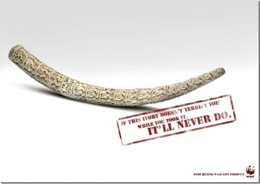 Elephants Are Not Here For Your Pleasure-24 Creative WWF Ads