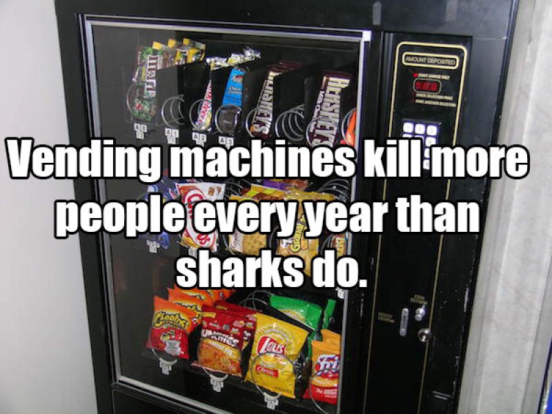 This Surprise Shark Fact-15 Amusing Facts That Are Actually True