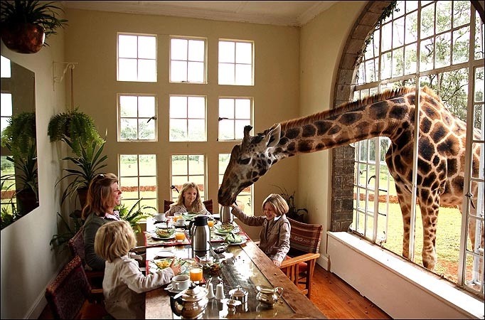 Giraffe Manor, Kenya-Most Amazing Hotels Around The World