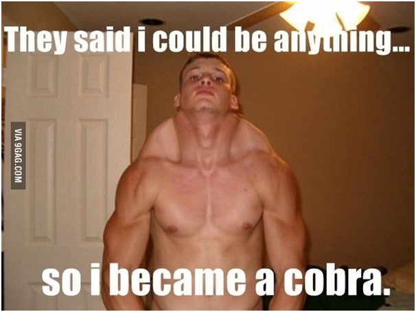 Cobra-Man-Best 'They Said I Could Be Anything.' Memes