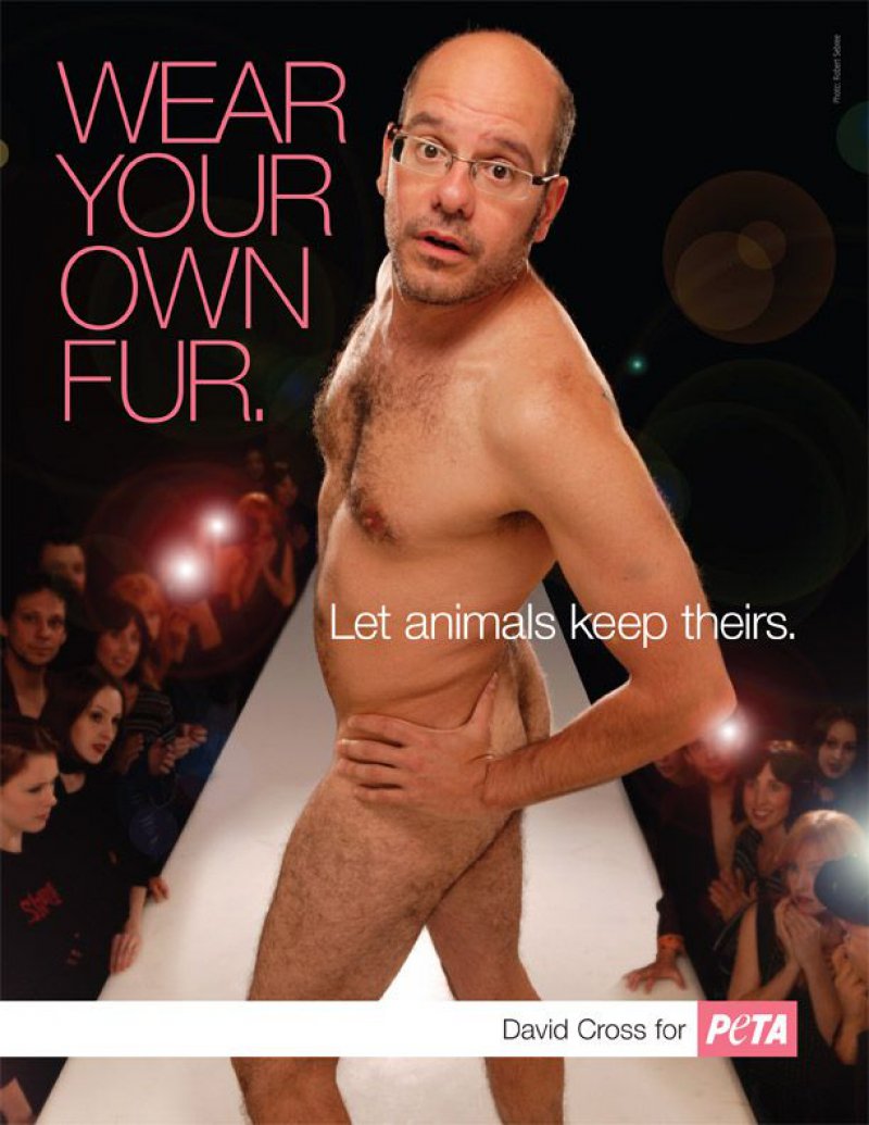 David Cross - "Wear Your Own Fur"-15 Celebrities Who Have Stripped For Charity