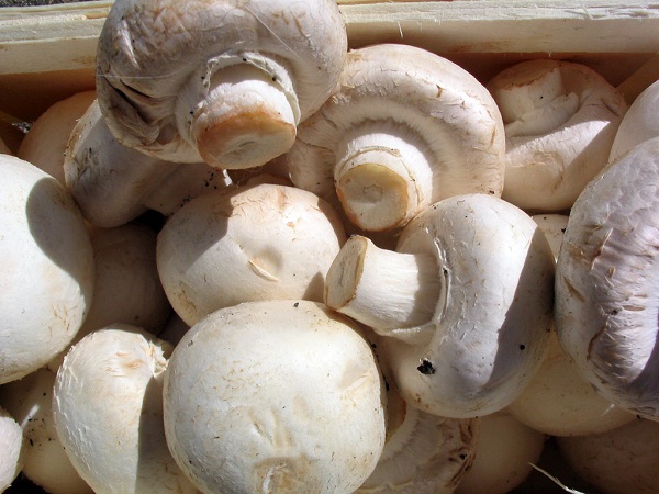 Mushrooms-Most Dangerous Foods