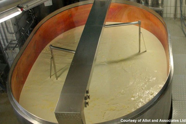 Cheese production-Weird Things The US Tops The World